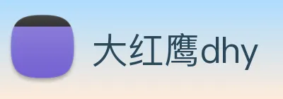 大红鹰dhy Logo